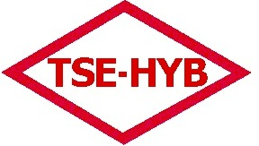 TSE Hizmet Yeterlilik Belgesi